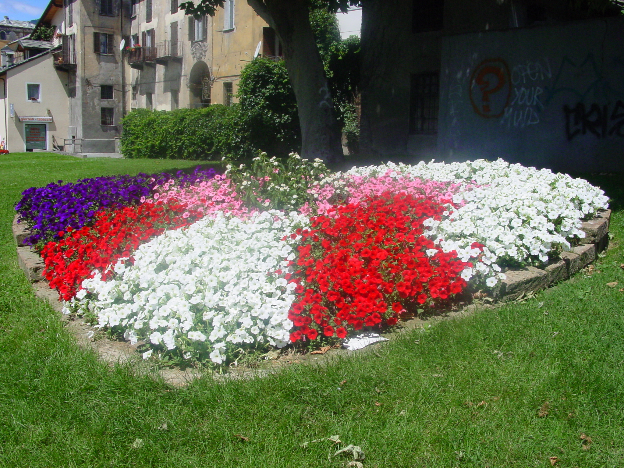 Fioriture multicolori in piazza Plouves