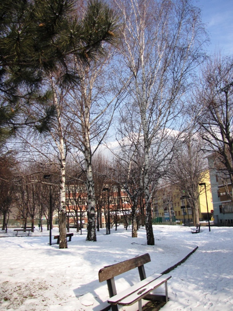 Giardino di Piazza Battaglione Cervino in inverno