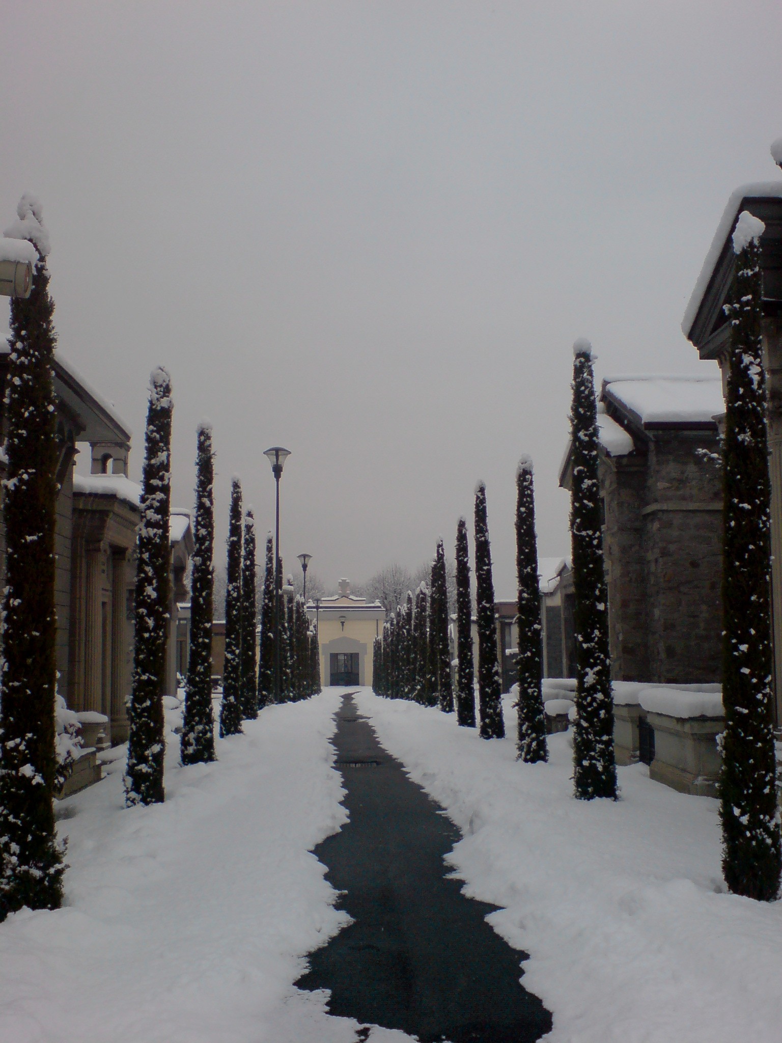 Viale di cipressi al cimitero di Aosta in inverno